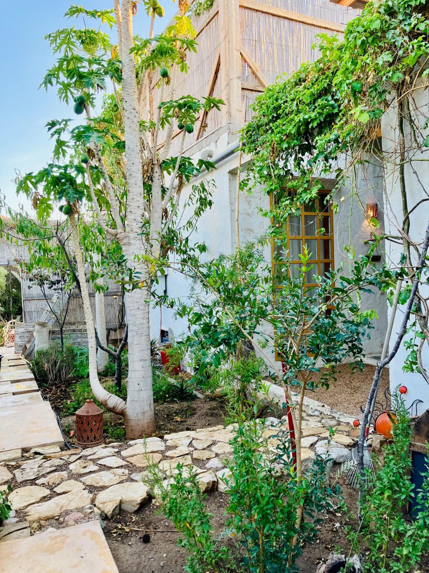 Paradise Guest House Agadir Dış mekan fotoğraf